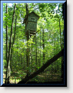 Click here to see a full sized picture of the deer stand.