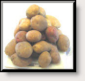 Actual pile of dad's potatoes fresh from his personal garden!