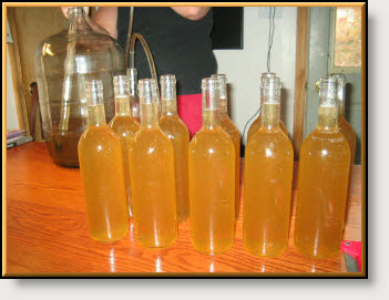 Take A Look At Our Beautiful Young Mead!